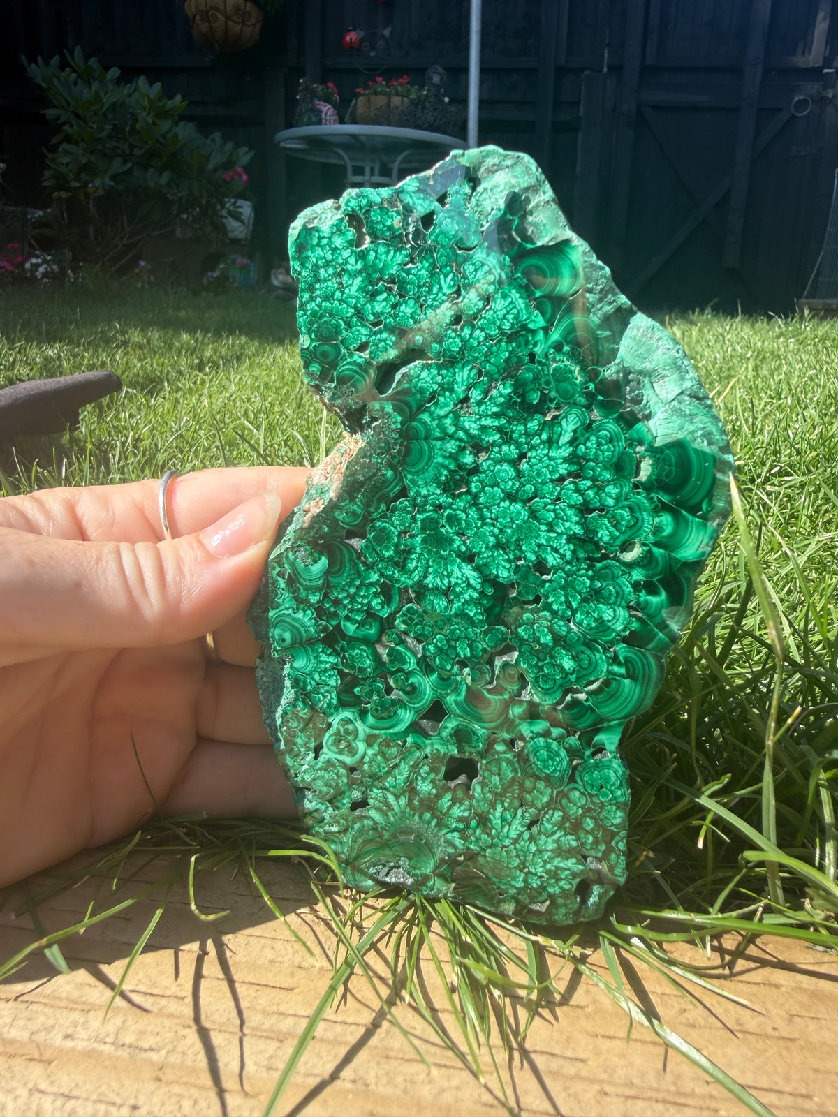 Natural Malachite freeform
