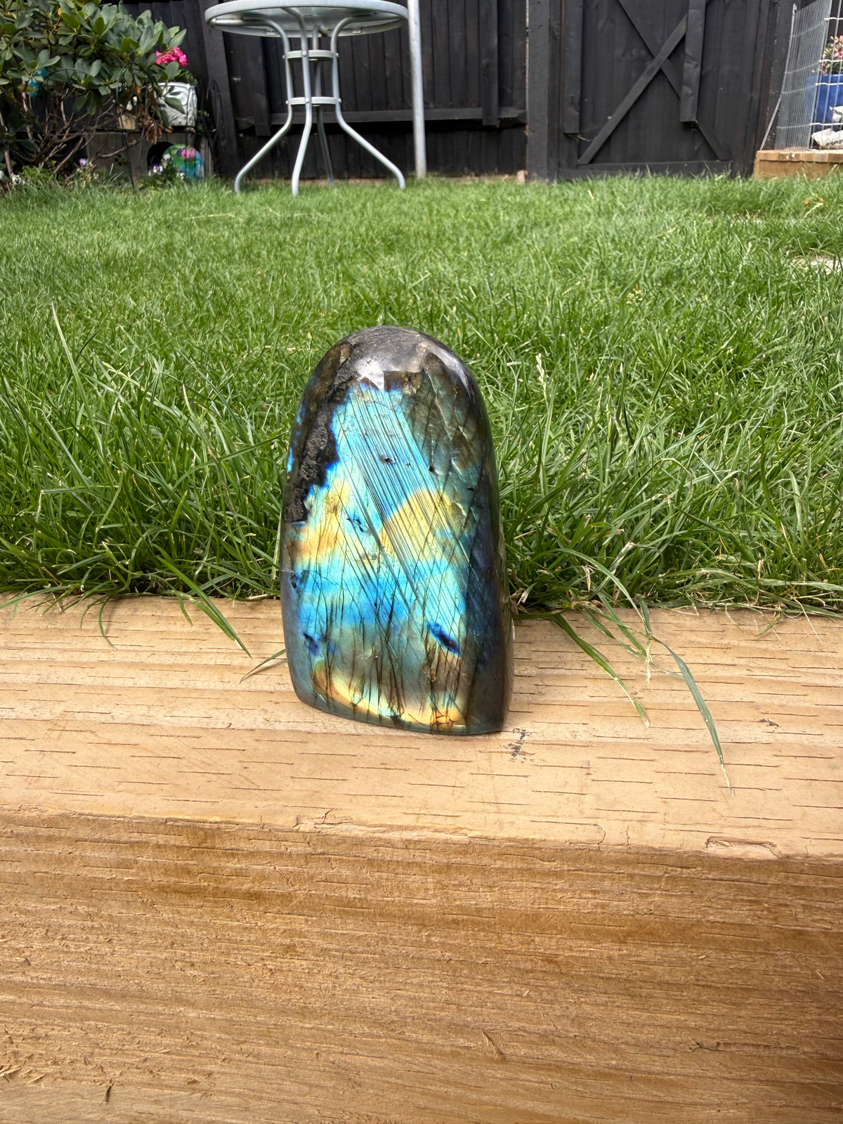 Labradorite Freeform 2 | Blue, Gold,  Green Flash | 480 g
