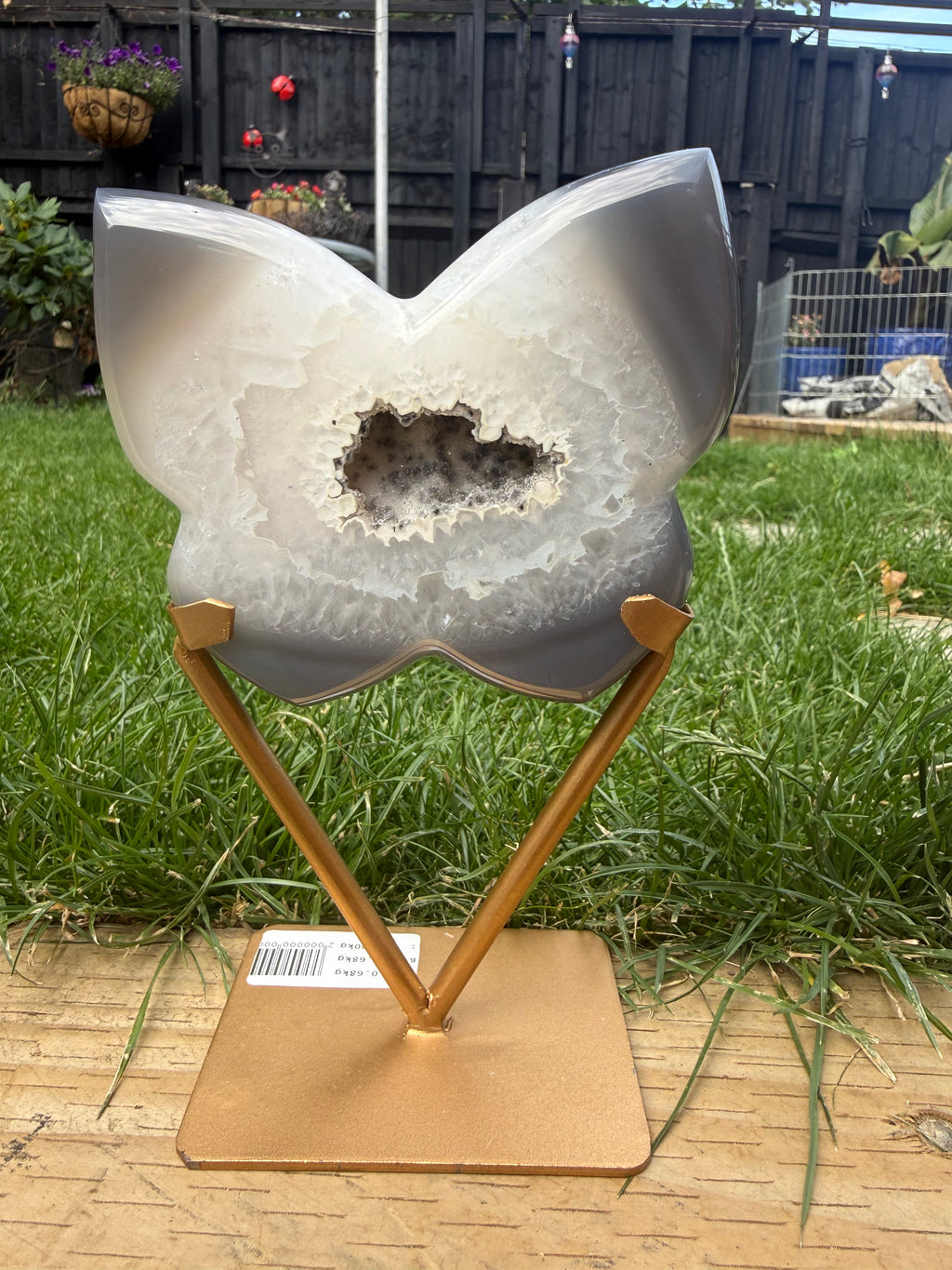 Grey Agate Butterfly with Druzy Centre | Includes Gold Display Stand | 515g