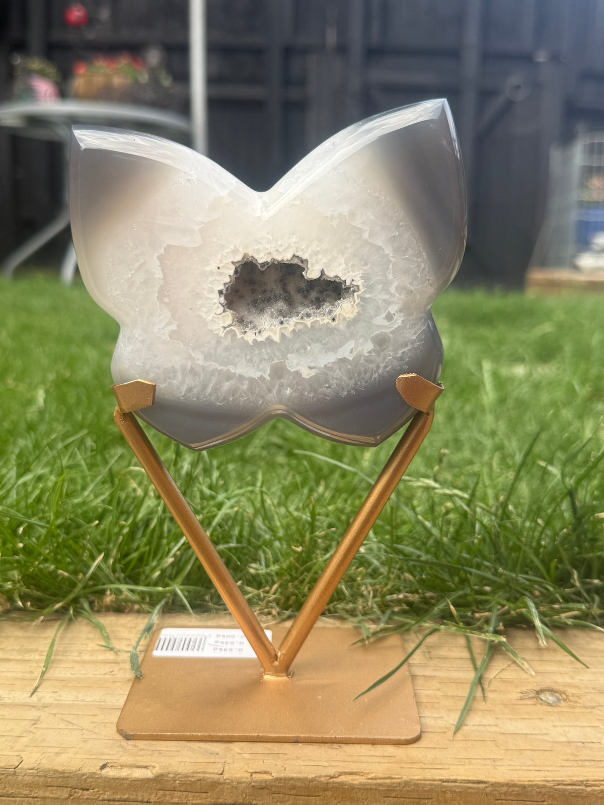 Grey Agate Butterfly with Druzy Centre | Includes Gold Display Stand | 515g
