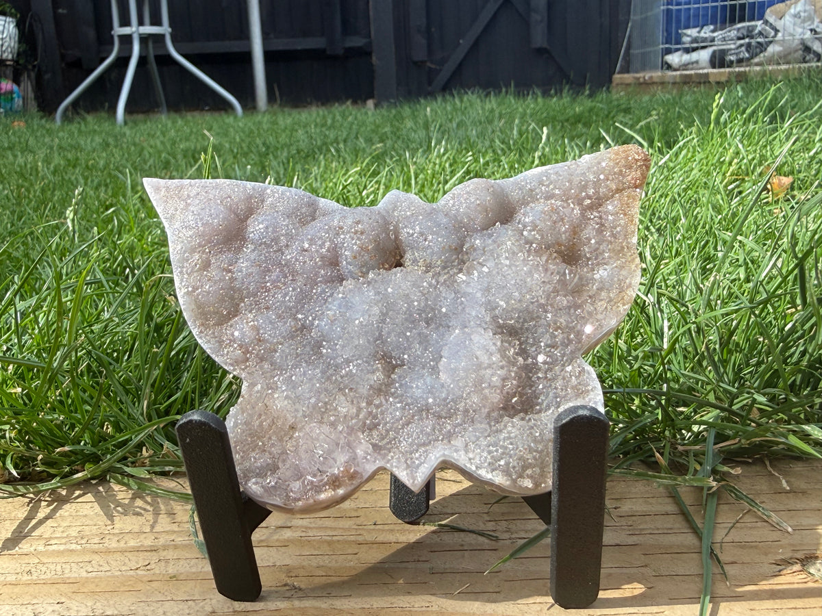 Flower Amethyst Butterfly