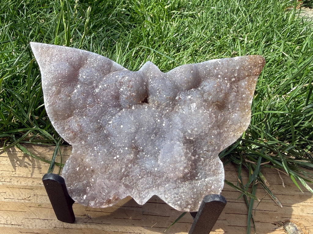 Flower Amethyst Butterfly