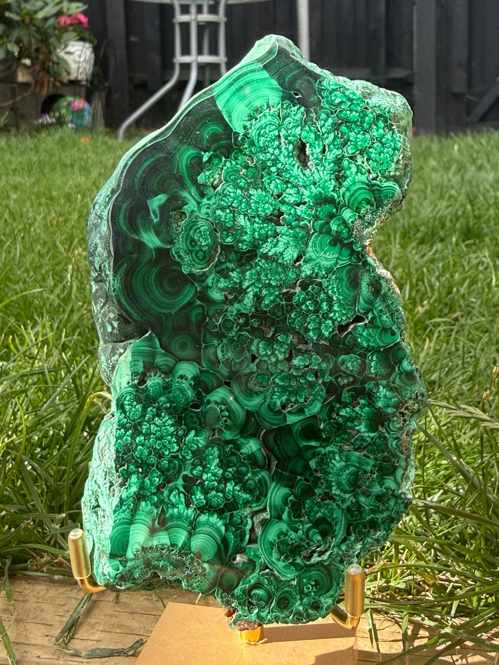 Natural Malachite freeform