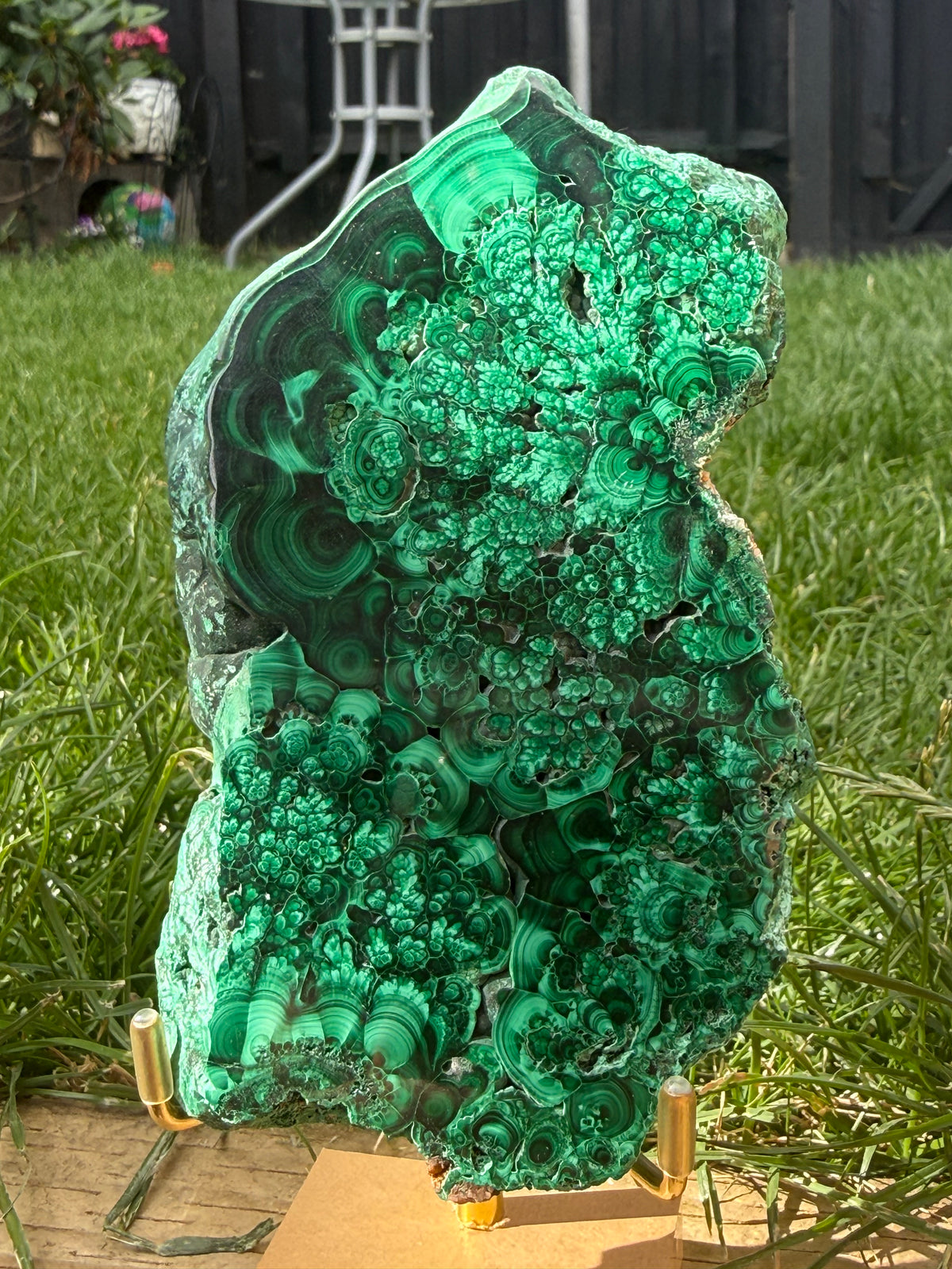 Natural Malachite freeform
