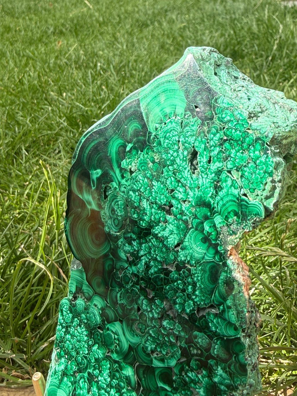 Natural Malachite freeform