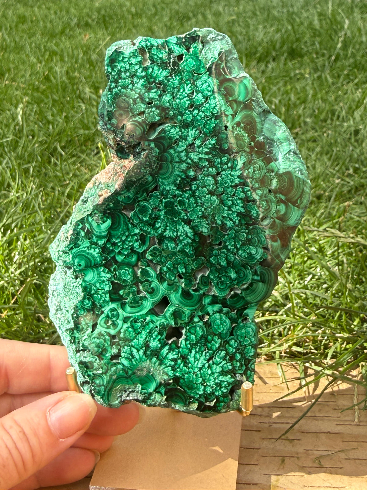 Natural Malachite freeform