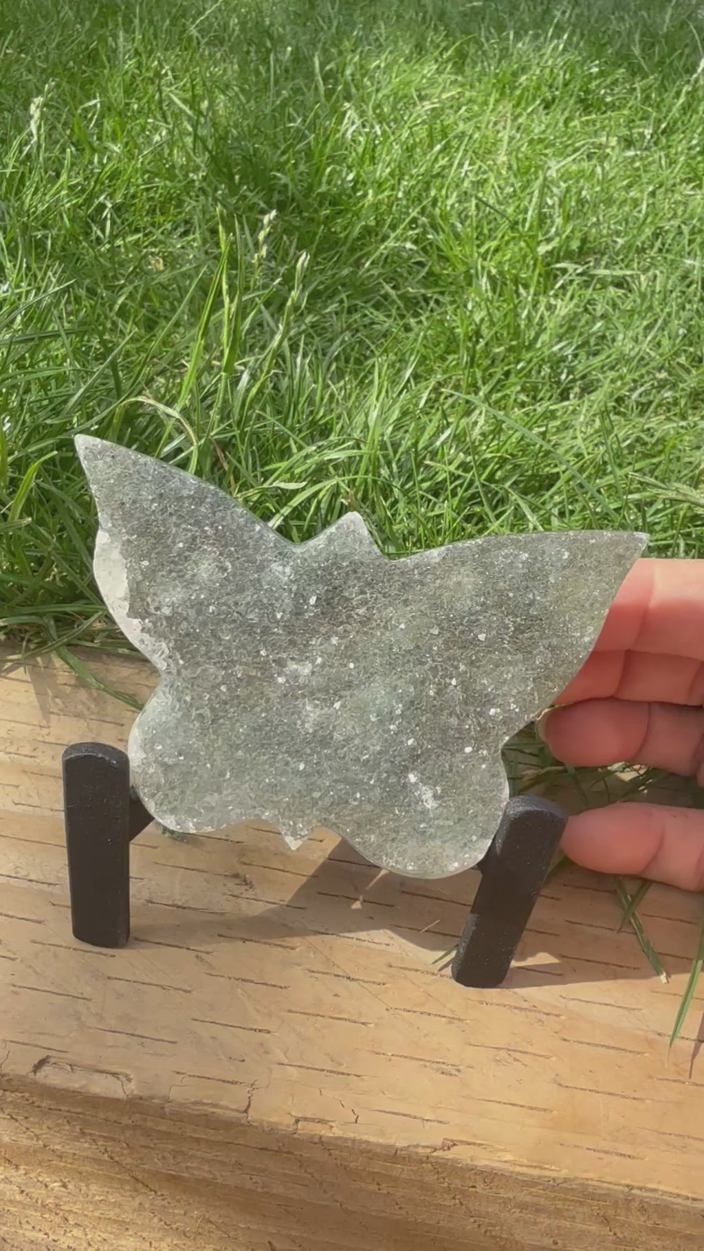 Flower Amethyst Butterfly \105 g | Includes Display Stand
